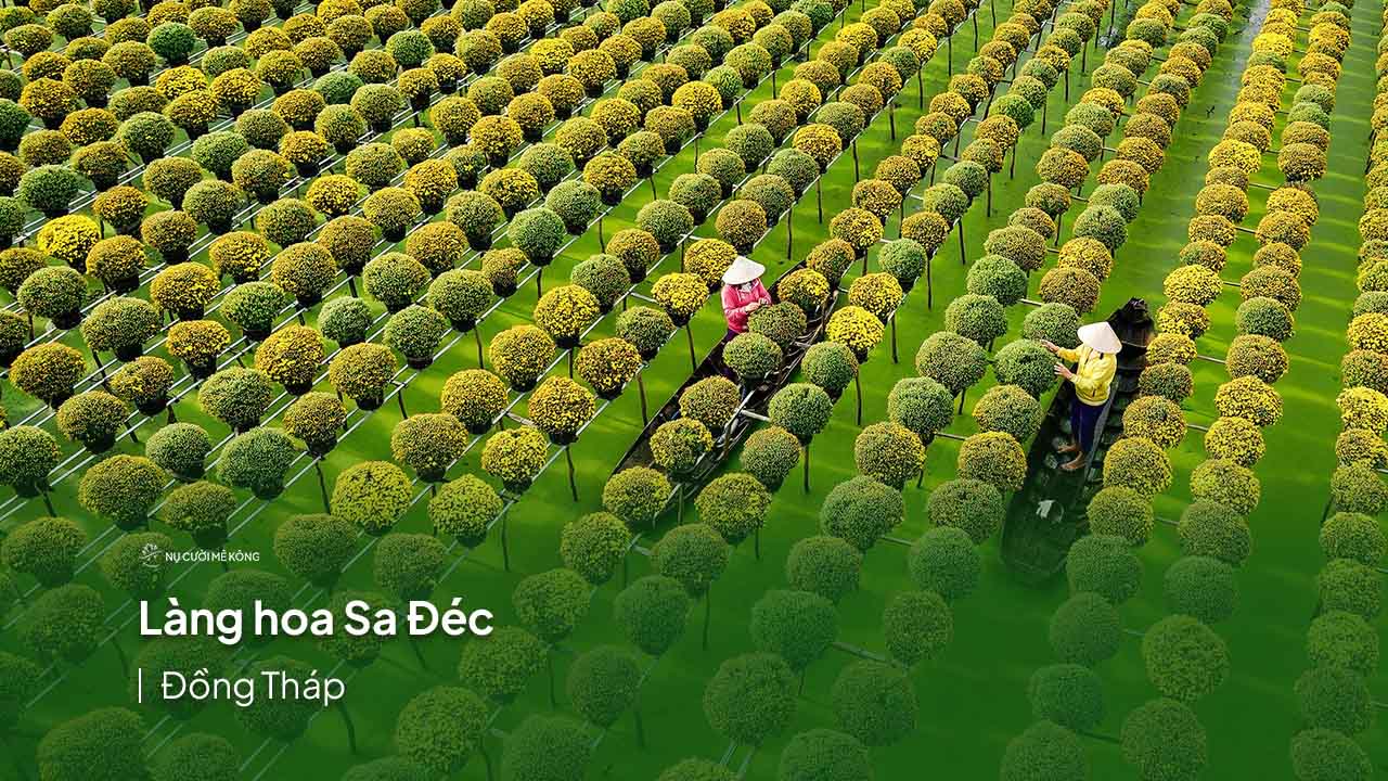 Làng hoa Sa Đéc