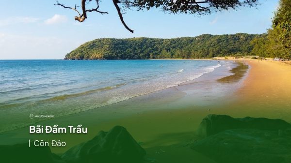 Bãi Đầm Trầu – Bãi biển tuyệt vời nhất Côn Đảo (2023)